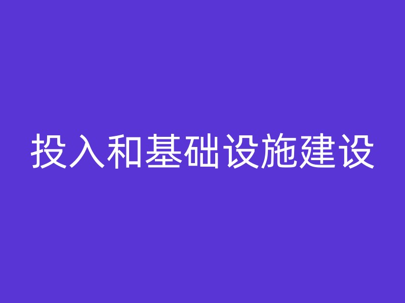 投入和基础设施建设