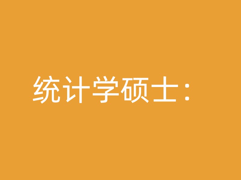 统计学硕士：