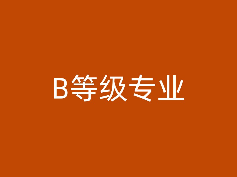 B等级专业