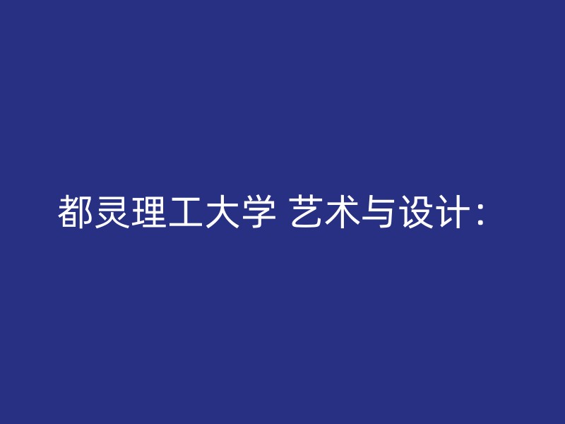 都灵理工大学 艺术与设计：