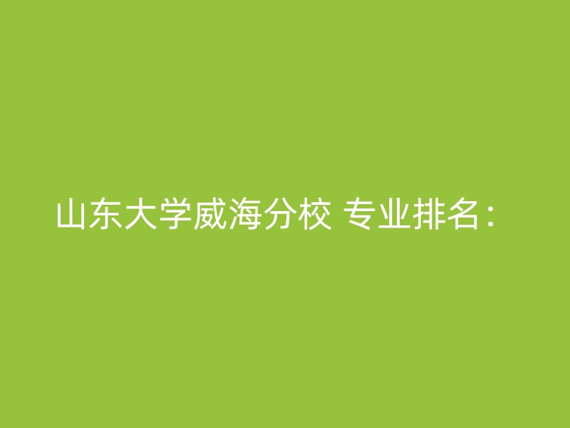 山东大学威海分校 专业排名：