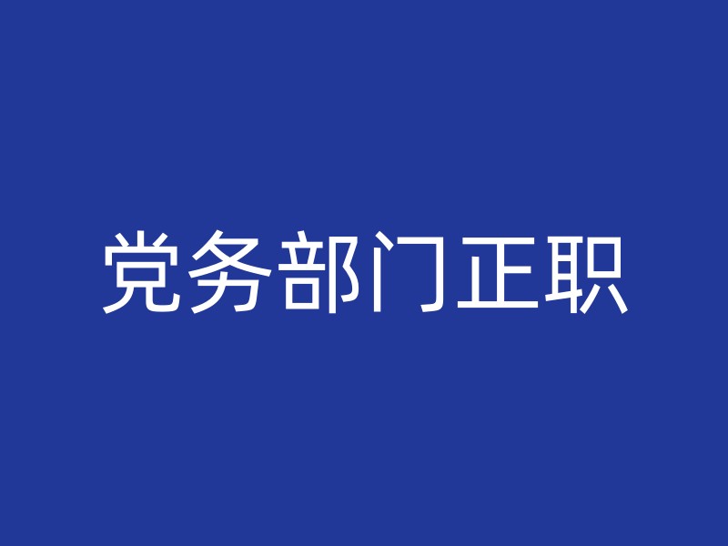 党务部门正职