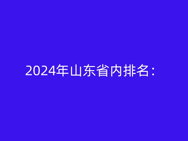 2024年山东省内排名：