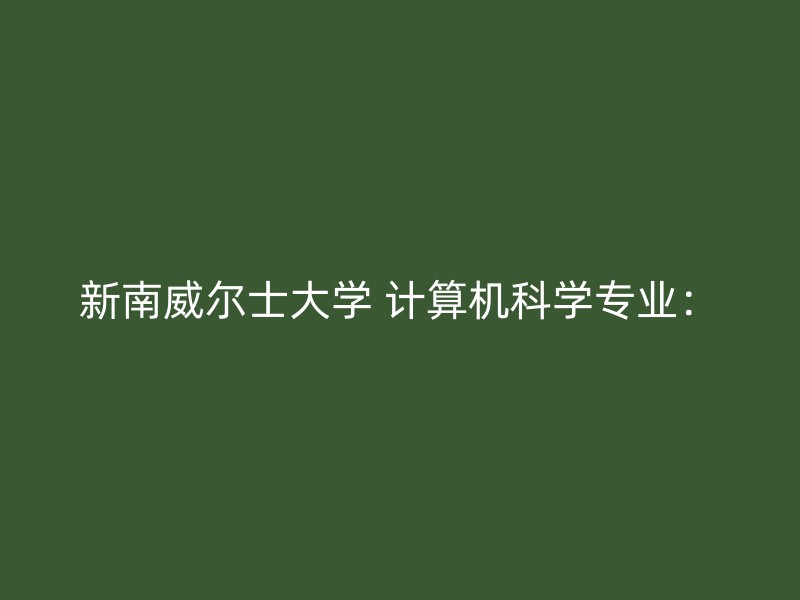 新南威尔士大学 计算机科学专业：