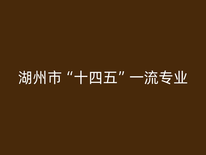 湖州市“十四五”一流专业