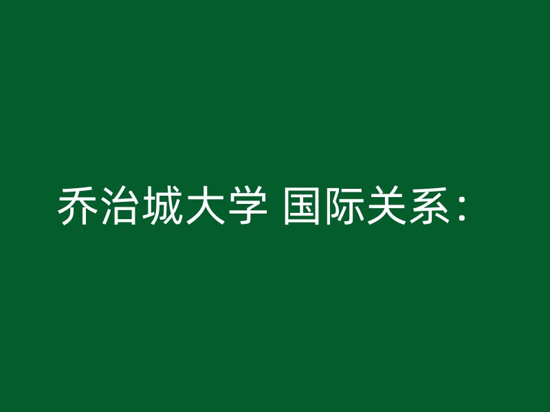 乔治城大学 国际关系：