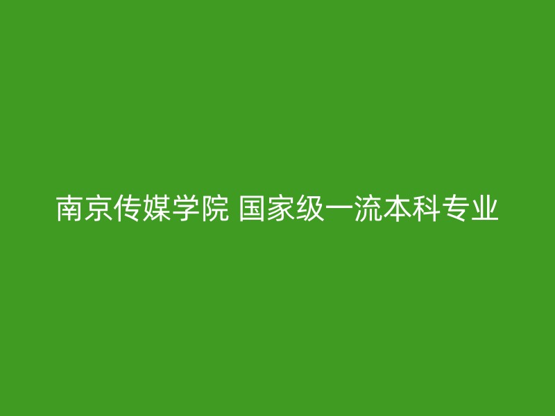 南京传媒学院 国家级一流本科专业