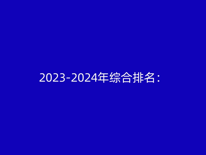 2023-2024年综合排名：