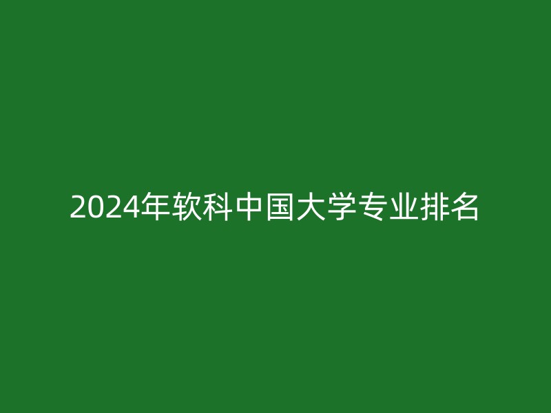 2024年软科中国大学专业排名