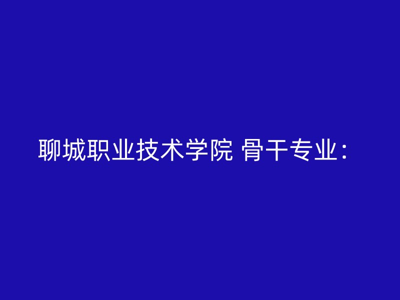 聊城职业技术学院 骨干专业：