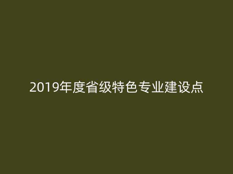 2019年度省级特色专业建设点