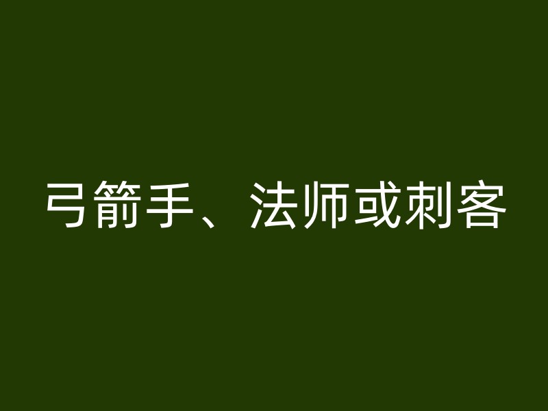 弓箭手、法师或刺客