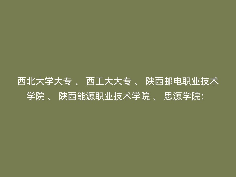 西北大学大专 、 西工大大专 、 陕西邮电职业技术学院 、 陕西能源职业技术学院 、 思源学院：