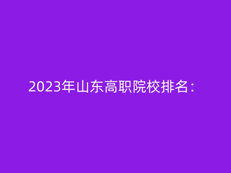 2023年山东高职院校排名：